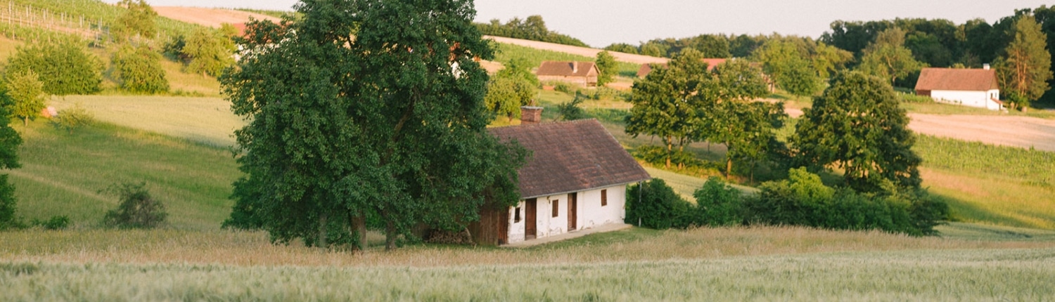 FuchsWein - Winten Weinberg Süd Burgenland