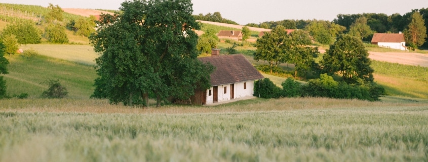 Kellerstöckl Winten